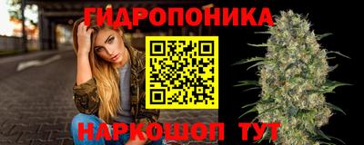 соль ск Волгодонск