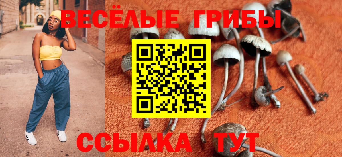 Заводоуковск  Псилоцибиновые грибы MAGIC MUSHROOMS  даркнет сайт  Вход с VPN 